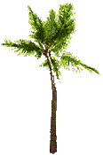 animated palm tree
